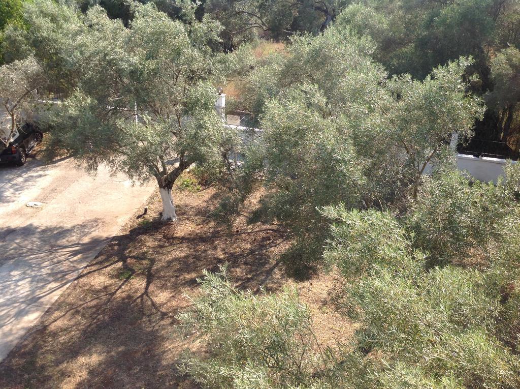 Sapfo Studios Lefkada Town Екстер'єр фото